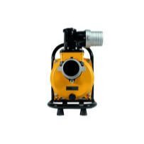 Mexxsun 110 V Volt 2 Hp 1500 W Watt 1.5 kW DC Yüzey Üstü Santrifüj Solar Su Pompası 29 Ton